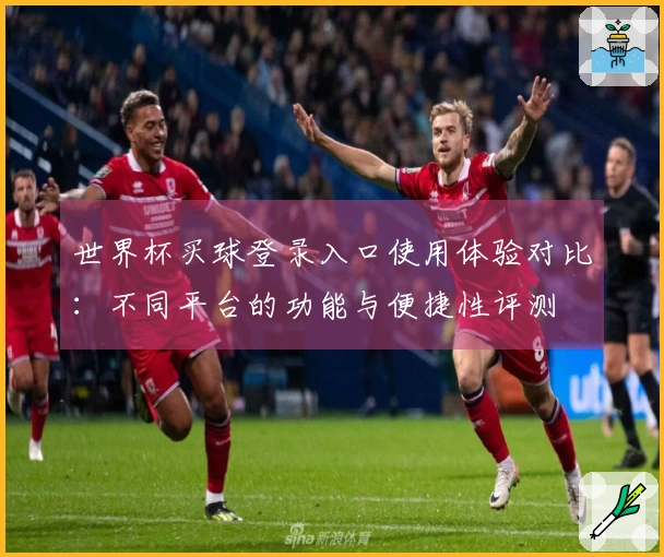世界杯买球登录入口使用体验对比：不同平台的功能与便捷性评测
