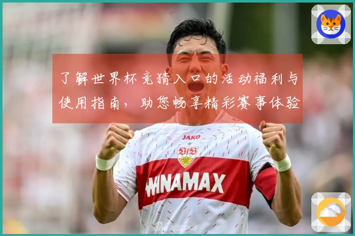 了解世界杯竞猜入口的活动福利与使用指南，助您畅享精彩赛事体验