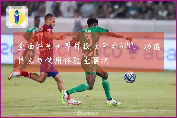 全面评测世界杯投注平台APP：功能特点与使用体验全解析