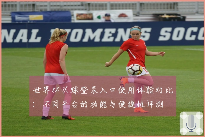 世界杯买球登录入口使用体验对比：不同平台的功能与便捷性评测