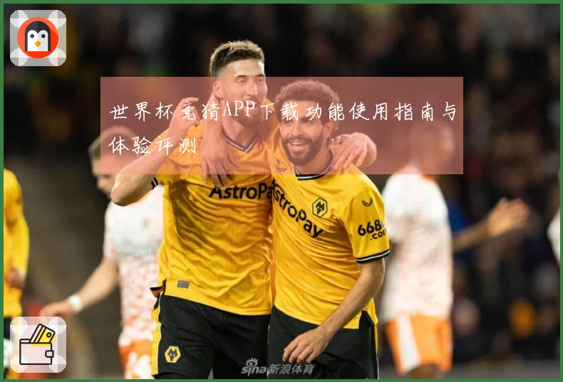 世界杯竞猜APP下载功能使用指南与体验评测