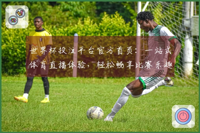 世界杯投注平台官方首页：一站式体育直播体验，轻松畅享比赛乐趣