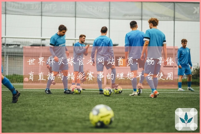 世界杯买球官方网站首页：畅享体育直播与精彩赛事的理想平台使用体验指南