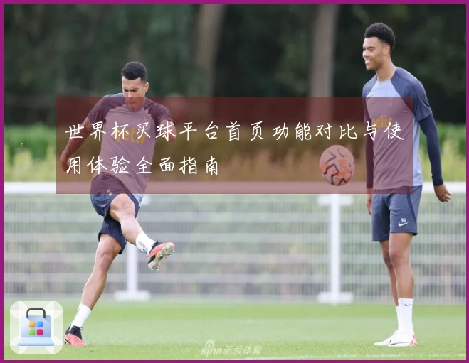 世界杯买球平台首页功能对比与使用体验全面指南
