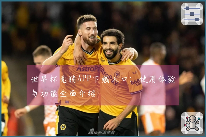 世界杯竞猜APP下载入口：使用体验与功能全面介绍