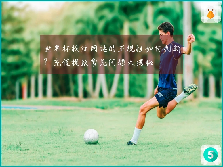 世界杯投注网站的正规性如何判断？充值提款常见问题大揭秘