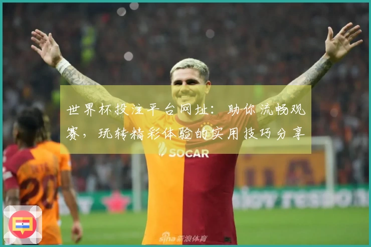 世界杯投注平台网址：助你流畅观赛，玩转精彩体验的实用技巧分享