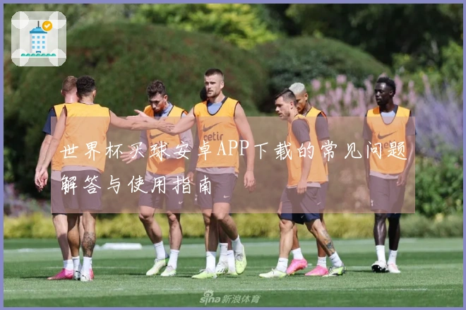 世界杯买球安卓APP下载的常见问题解答与使用指南