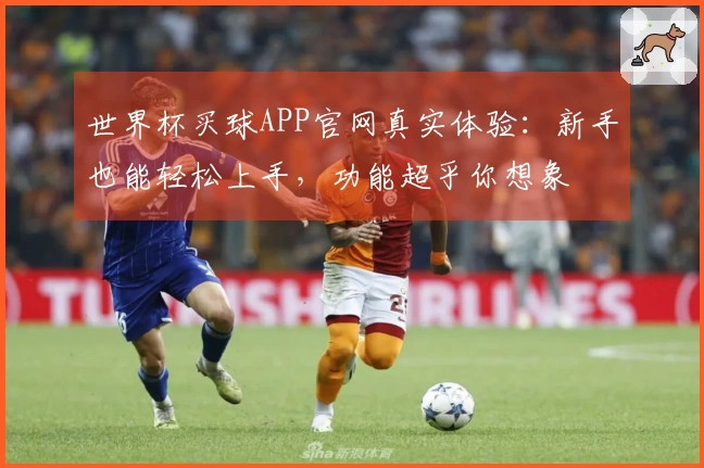世界杯买球APP官网真实体验：新手也能轻松上手，功能超乎你想象