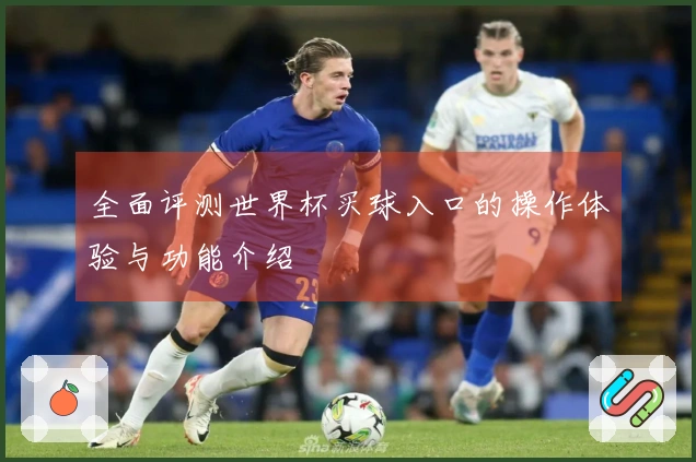 全面评测世界杯买球入口的操作体验与功能介绍