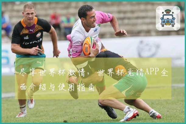 尽享世界杯激情，世界杯竞猜APP全面介绍与使用指南
