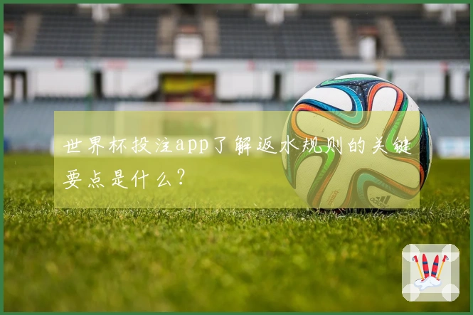 世界杯投注app了解返水规则的关键要点是什么？